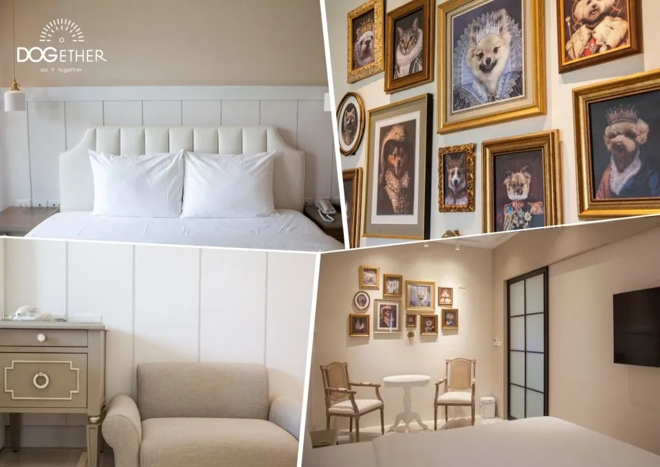 Dogether Hotel 多野樂旅館 44 - Travel of Rice 小米遊記 Dogether Hotel 多野樂旅館 44 - Travel of Rice 小米遊記
