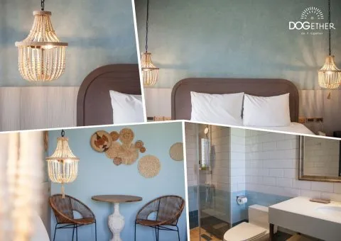 Dogether Hotel 多野樂旅館 45 - Travel of Rice 小米遊記