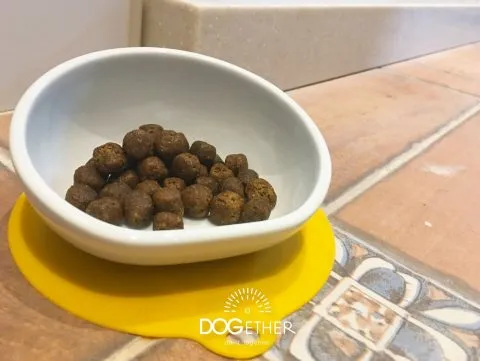 Dogether Hotel 多野樂旅館 47 - Travel of Rice 小米遊記