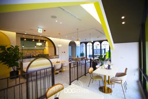 Dogether Hotel 多野樂旅館 52 - Travel of Rice 小米遊記