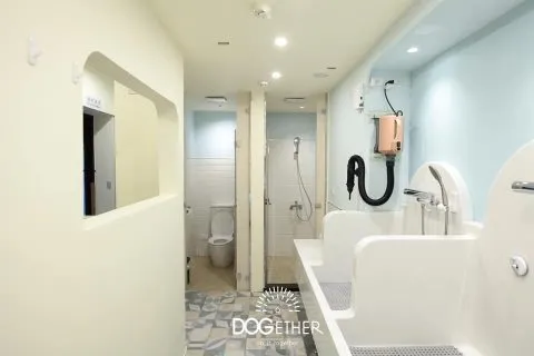 Dogether Hotel 多野樂旅館 56 - Travel of Rice 小米遊記