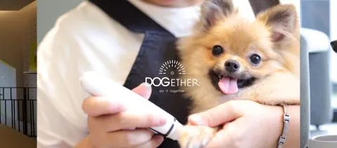 Dogether Hotel 多野樂旅館 58 - Travel of Rice 小米遊記