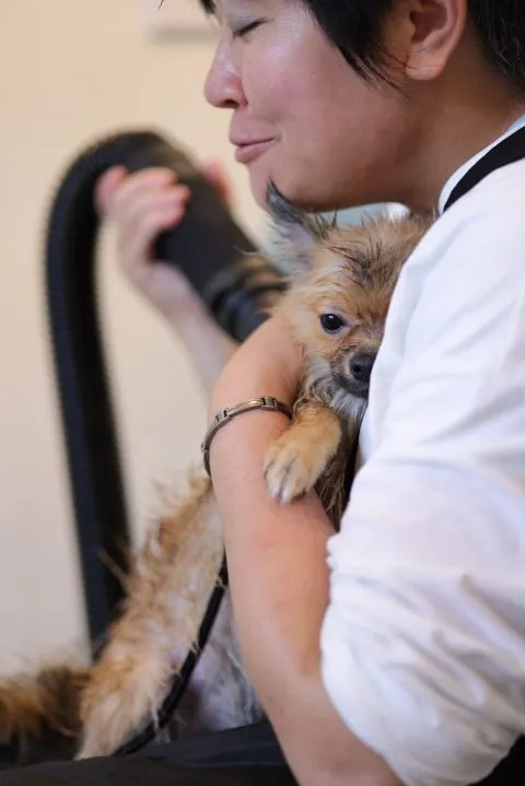 Dogether Hotel 多野樂旅館 59 - Travel of Rice 小米遊記