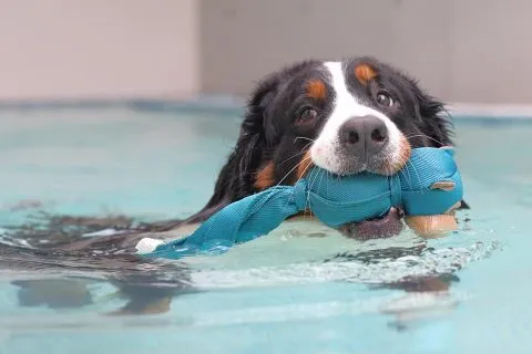 Dogether Hotel 多野樂旅館 65 - Travel of Rice 小米遊記