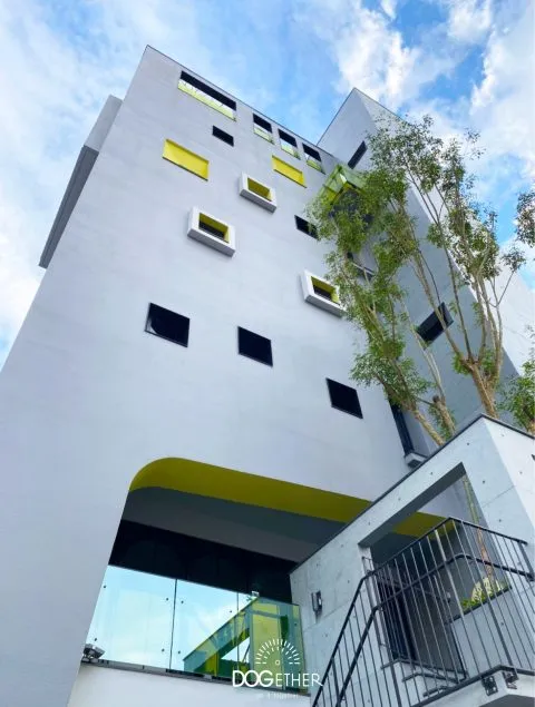 Dogether Hotel 多野樂旅館 67 - Travel of Rice 小米遊記