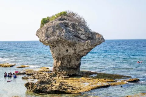 花瓶岩 60 - Travel of Rice 小米遊記