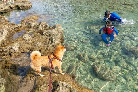 花瓶岩 68 - Travel of Rice 小米遊記