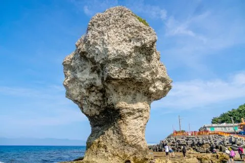 花瓶岩 69 - Travel of Rice 小米遊記