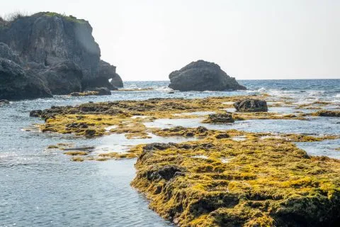 花瓶岩 70 - Travel of Rice 小米遊記