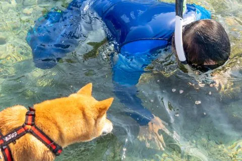 花瓶岩 75 - Travel of Rice 小米遊記