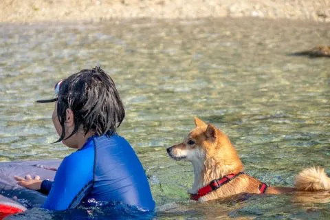 花瓶岩 86 - Travel of Rice 小米遊記