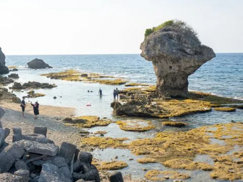 花瓶岩 59 - Travel of Rice 小米遊記