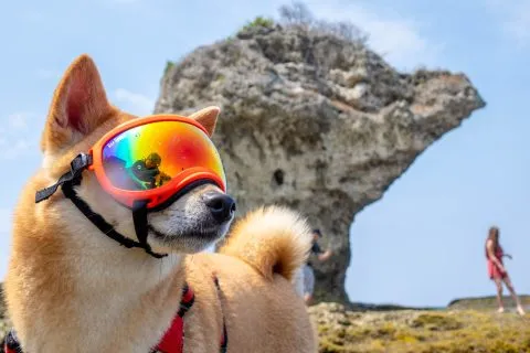 花瓶岩 92 - Travel of Rice 小米遊記