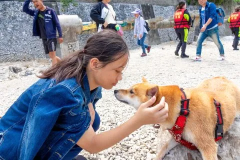 花瓶岩 88 - Travel of Rice 小米遊記