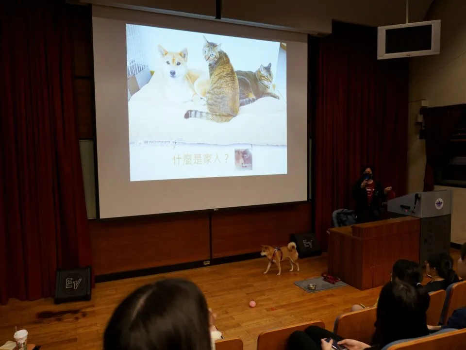 銘傳大學/台北市林 30 - Travel of Rice 小米遊記 銘傳大學/台北市林 30 - Travel of Rice 小米遊記