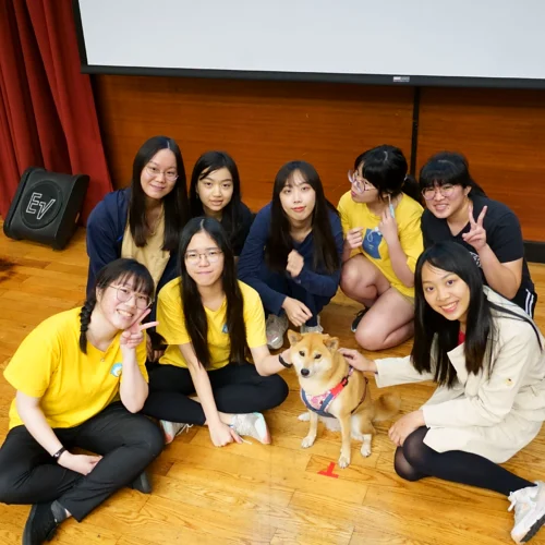 銘傳大學/台北市林 62 - Travel of Rice 小米遊記 銘傳大學/台北市林 62 - Travel of Rice 小米遊記