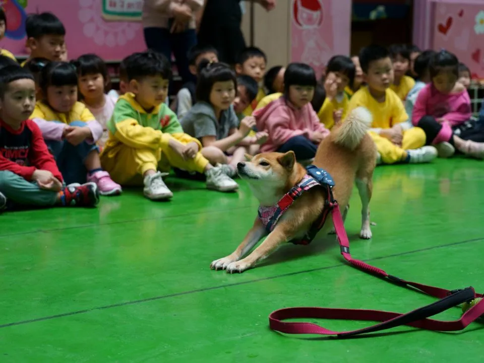 幼任幼兒園/台中神岡 35 - Travel of Rice 小米遊記 幼任幼兒園/台中神岡 35 - Travel of Rice 小米遊記