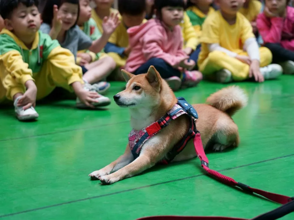 幼任幼兒園/台中神岡 36 - Travel of Rice 小米遊記 幼任幼兒園/台中神岡 36 - Travel of Rice 小米遊記