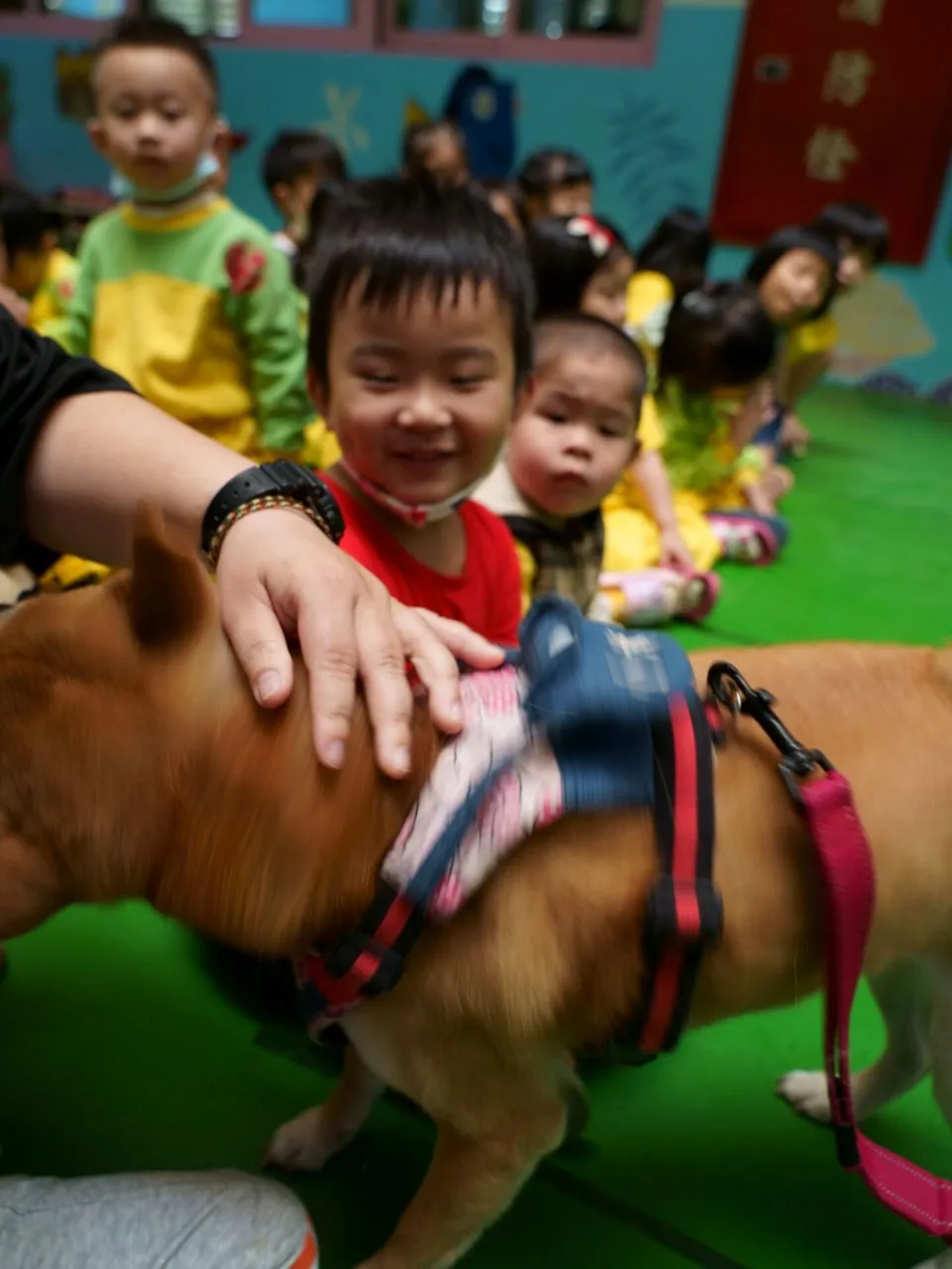 幼任幼兒園/台中神岡 42 - Travel of Rice 小米遊記 幼任幼兒園/台中神岡 42 - Travel of Rice 小米遊記