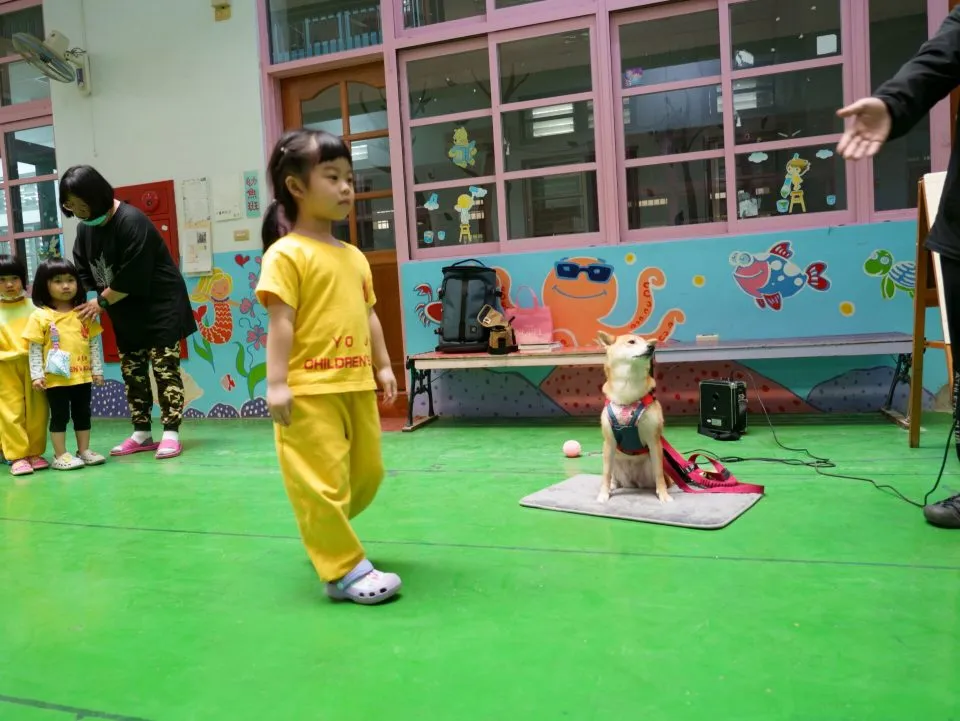 幼任幼兒園/台中神岡 43 - Travel of Rice 小米遊記 幼任幼兒園/台中神岡 43 - Travel of Rice 小米遊記