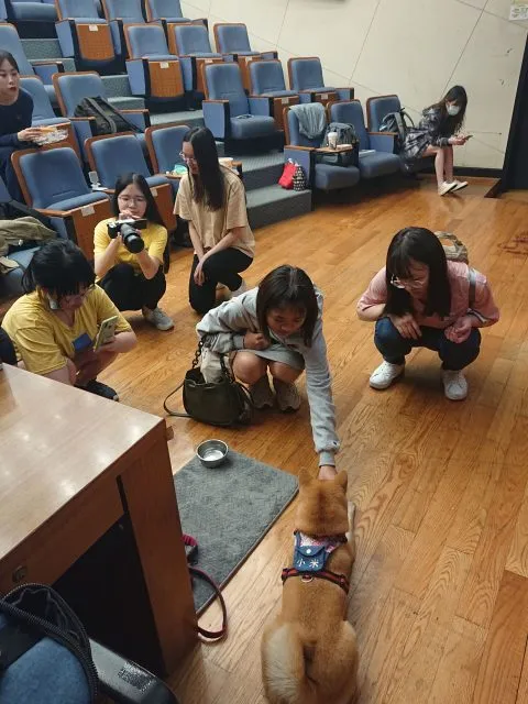 銘傳大學/台北市林 41 - Travel of Rice 小米遊記 銘傳大學/台北市林 41 - Travel of Rice 小米遊記