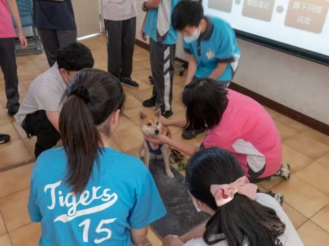 土城國中／新北土城 44 - Travel of Rice 小米遊記