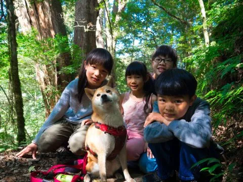 鎮西堡巨木群步道 104 - Travel of Rice 小米遊記