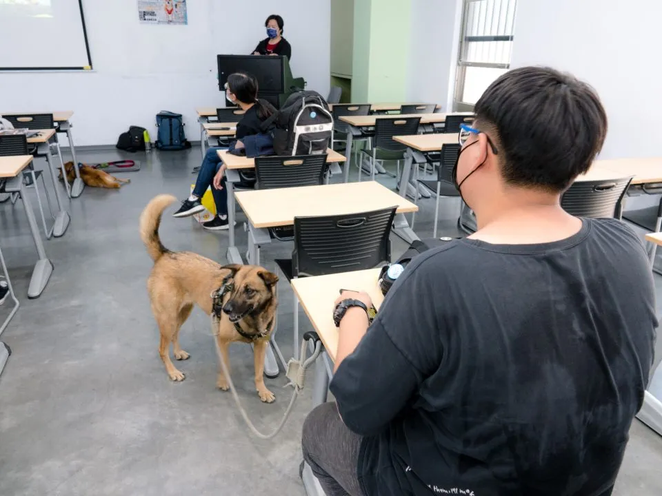 嘉南藥理大學/台南仁德 32 - Travel of Rice 小米遊記 嘉南藥理大學/台南仁德 32 - Travel of Rice 小米遊記