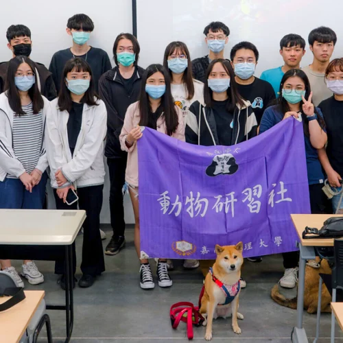 嘉南藥理大學/台南仁德 133 - Travel of Rice 小米遊記 嘉南藥理大學/台南仁德 133 - Travel of Rice 小米遊記