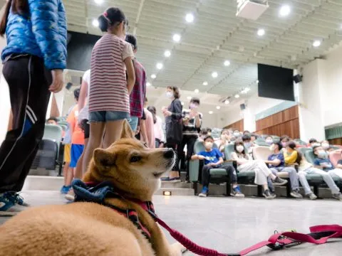 龍華國小/高雄鼓山 32 - Travel of Rice 小米遊記 龍華國小/高雄鼓山 32 - Travel of Rice 小米遊記