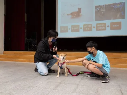 龍華國小/高雄鼓山 37 - Travel of Rice 小米遊記 龍華國小/高雄鼓山 37 - Travel of Rice 小米遊記