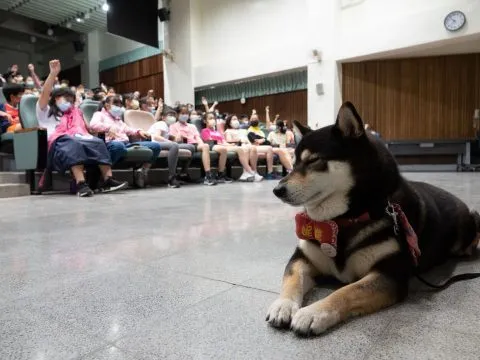 龍華國小/高雄鼓山 45 - Travel of Rice 小米遊記 龍華國小/高雄鼓山 45 - Travel of Rice 小米遊記