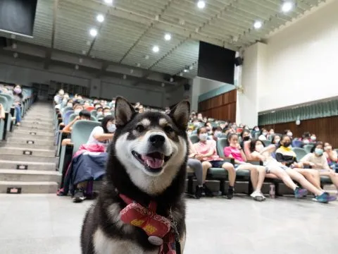 龍華國小/高雄鼓山 47 - Travel of Rice 小米遊記 龍華國小/高雄鼓山 47 - Travel of Rice 小米遊記