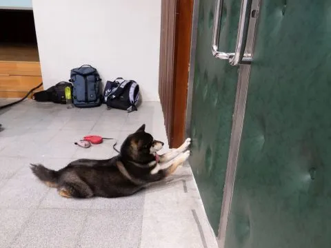 龍華國小/高雄鼓山 50 - Travel of Rice 小米遊記 龍華國小/高雄鼓山 50 - Travel of Rice 小米遊記