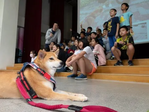 龍華國小/高雄鼓山 51 - Travel of Rice 小米遊記 龍華國小/高雄鼓山 51 - Travel of Rice 小米遊記