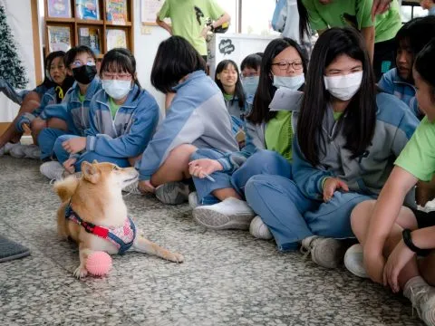 礁溪國中/宜蘭礁溪 42 - Travel of Rice 小米遊記 礁溪國中/宜蘭礁溪 42 - Travel of Rice 小米遊記