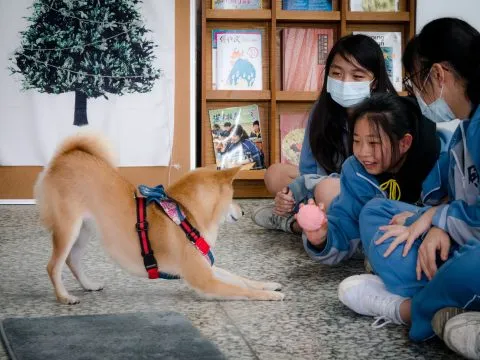 礁溪國中/宜蘭礁溪 48 - Travel of Rice 小米遊記 礁溪國中/宜蘭礁溪 48 - Travel of Rice 小米遊記