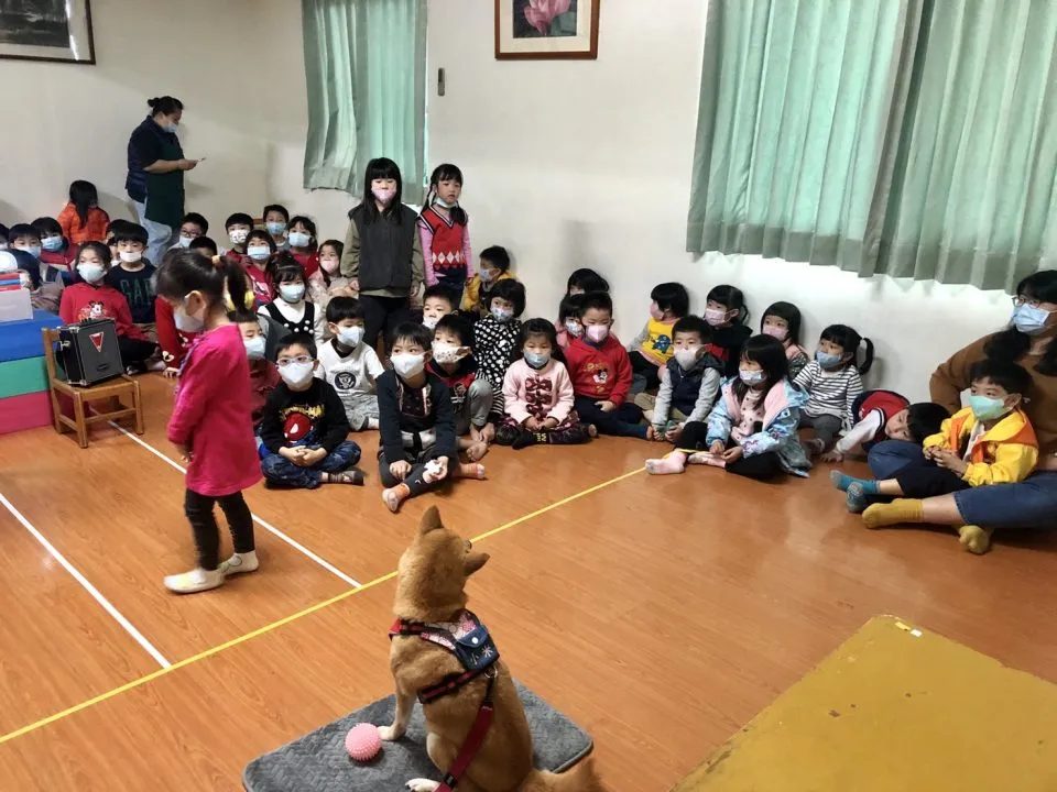 曼哈頓幼兒園/台中大雅 33 - Travel of Rice 小米遊記 曼哈頓幼兒園/台中大雅 33 - Travel of Rice 小米遊記