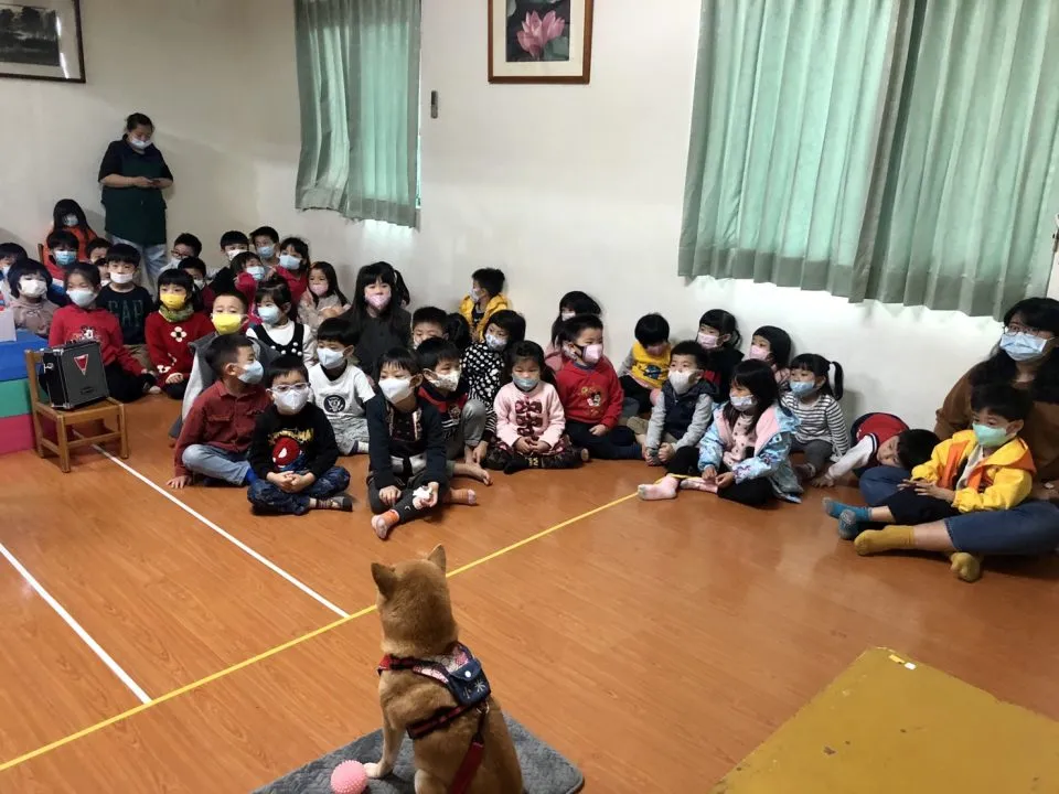 曼哈頓幼兒園/台中大雅 34 - Travel of Rice 小米遊記 曼哈頓幼兒園/台中大雅 34 - Travel of Rice 小米遊記