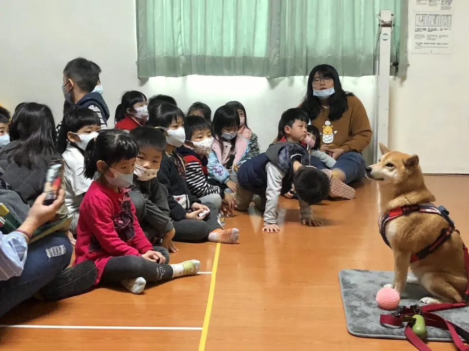 曼哈頓幼兒園/台中大雅 36 - Travel of Rice 小米遊記 曼哈頓幼兒園/台中大雅 36 - Travel of Rice 小米遊記