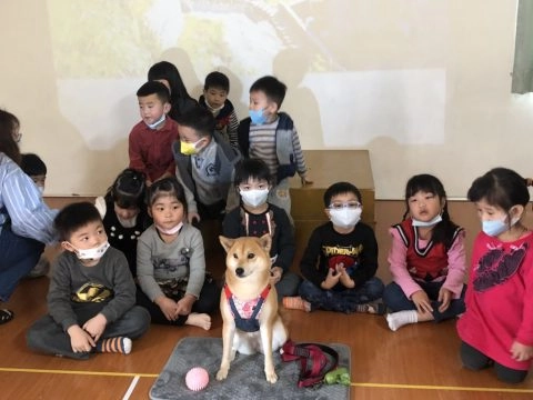 曼哈頓幼兒園/台中大雅 71 - Travel of Rice 小米遊記 曼哈頓幼兒園/台中大雅 71 - Travel of Rice 小米遊記