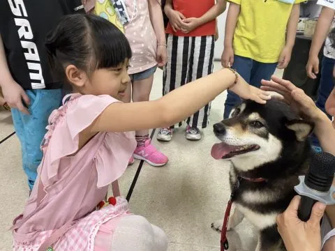 立盈幼兒園／台中豐原 31 - Travel of Rice 小米遊記