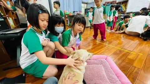 信義國小附設幼兒園/台中南區 25 - Travel of Rice 小米遊記 信義國小附設幼兒園/台中南區 23 - Travel of Rice 小米遊記