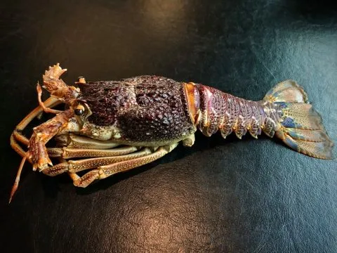 辛愛頂級麻辣火鍋 41 - Travel of Rice 小米遊記 辛愛頂級麻辣火鍋 41 - Travel of Rice 小米遊記