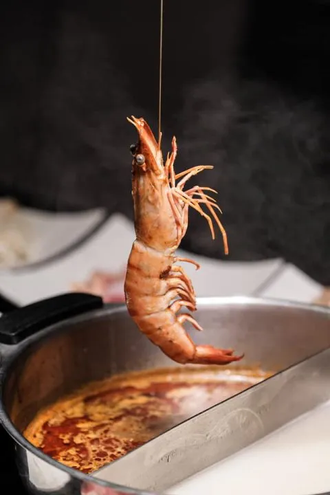 辛愛頂級麻辣火鍋 45 - Travel of Rice 小米遊記 辛愛頂級麻辣火鍋 45 - Travel of Rice 小米遊記