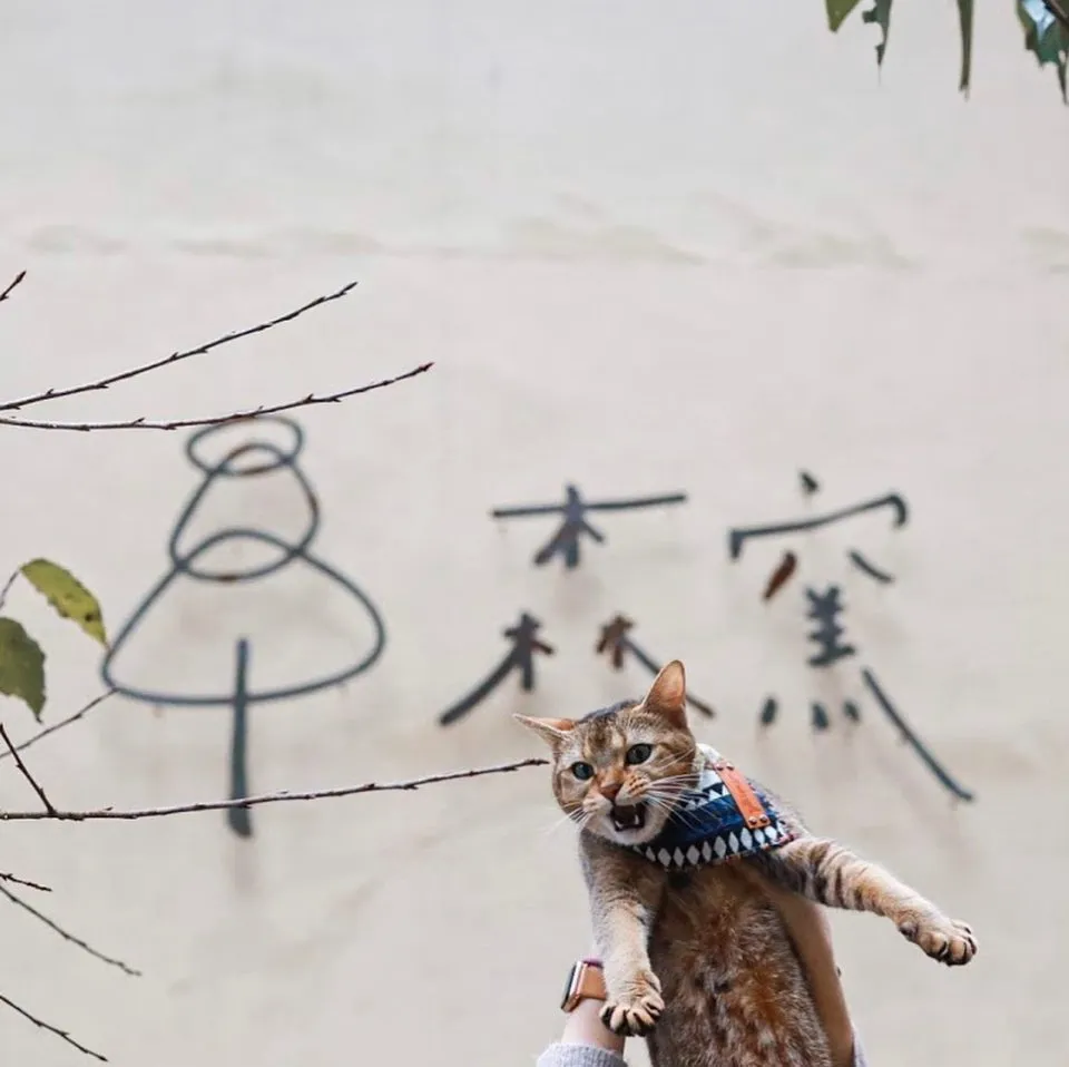 森窯 have a Picnic 58 - Travel of Rice 小米遊記 森窯 have a Picnic 58 - Travel of Rice 小米遊記
