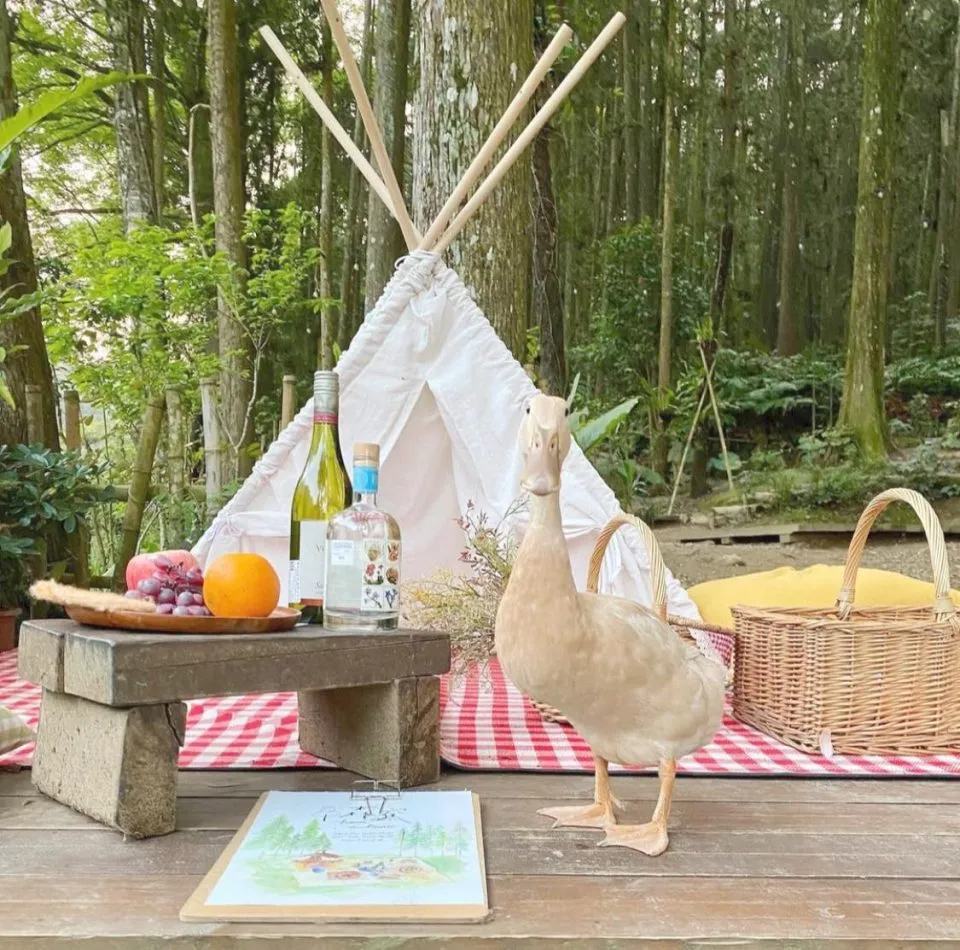 森窯 have a Picnic 60 - Travel of Rice 小米遊記 森窯 have a Picnic 60 - Travel of Rice 小米遊記