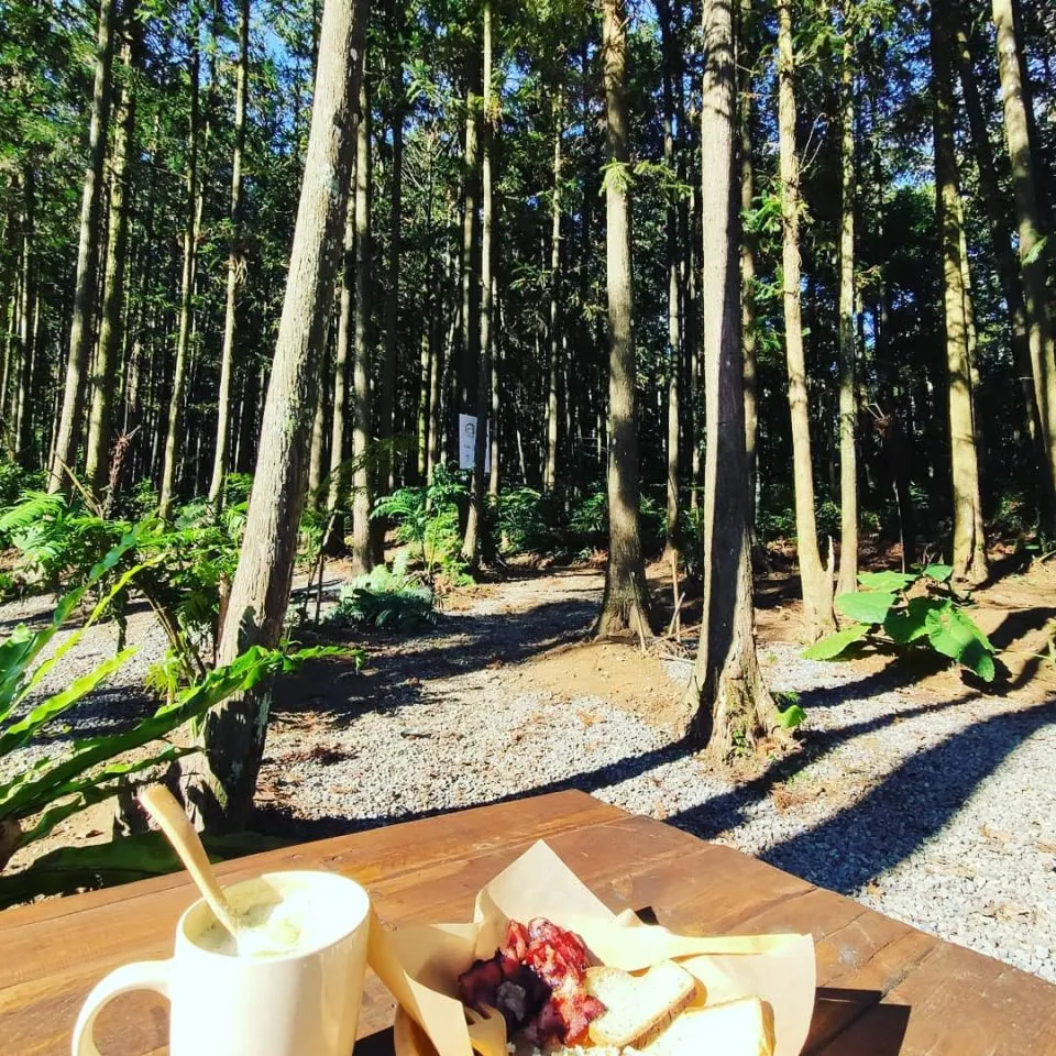森窯 have a Picnic 72 - Travel of Rice 小米遊記 森窯 have a Picnic 72 - Travel of Rice 小米遊記