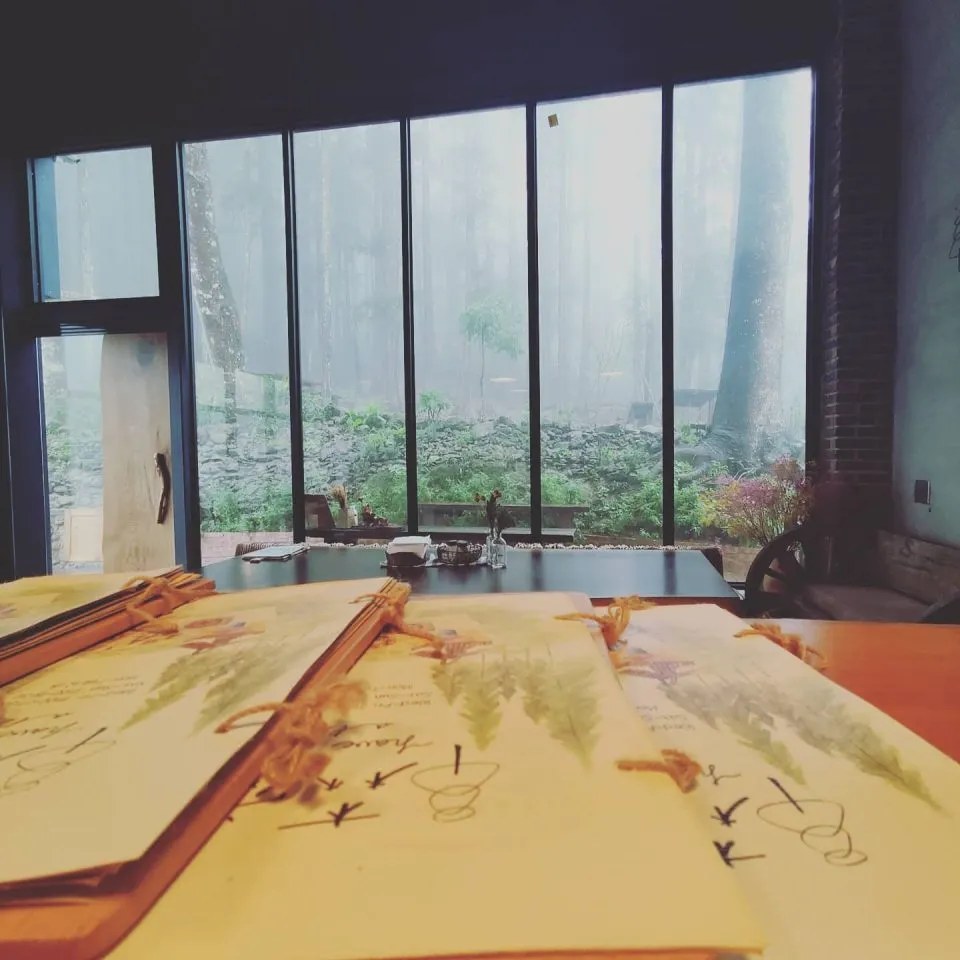 森窯 have a Picnic 99 - Travel of Rice 小米遊記 森窯 have a Picnic 99 - Travel of Rice 小米遊記
