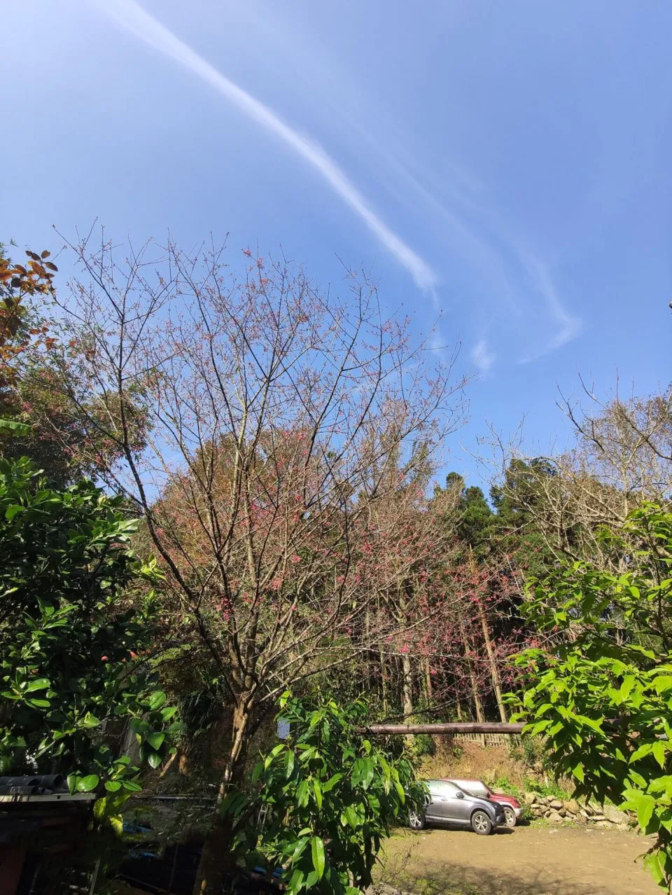 森窯 have a Picnic 105 - Travel of Rice 小米遊記 森窯 have a Picnic 105 - Travel of Rice 小米遊記